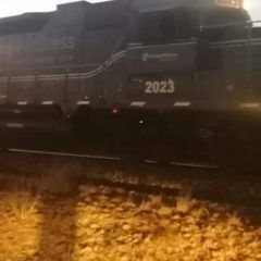Muere tras ser atropellado por el tren