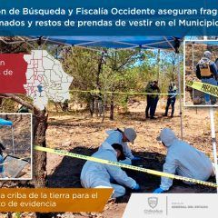 Comisión de búsqueda y fiscalía occidente aseguran fragmentos óseos calcinados