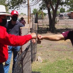 Panchito Sáenz buscará revivir el campo con proyectos productivos