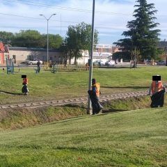 También en Cuauhtémoc, realizan detenidos trabajo comunitario por faltas administrativas