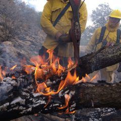 Cuerpos de emergencia y voluntarios logran sofocar incendios forestales en 3 Lagunas