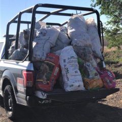 Recolectan detenidos del fin de semana una tonelada de basura en Álvaro Obregón