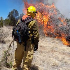 Incendio forestal en 3 Lagunas requiere de voluntarios para su contención