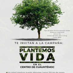 CANACO y gobierno municipal lanzan programa “plántelos vida en el centro de Cuauhtémoc”