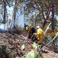 Habilita protección civil centro de acopio para brigadistas de incendios forestales