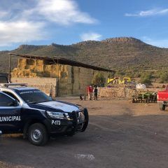 Posible suicidio en el ejido de el Apache