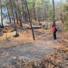 Llevó protección civil de Cuauhtémoc otras 3 toneladas de víveres para brigadistas de incendio en San Juanito