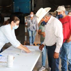 Abre Desarrollo Rural registro para productores interesados en adquirir fertilizante