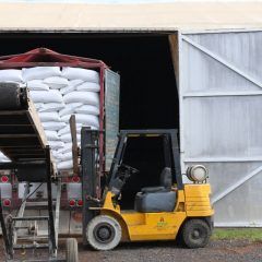 Emite desarrollo rural convocatoria para adquirir semilla de avena certificada