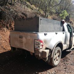 Perseguían al Jaguar y se les fugó en  la guardarraya de Sonora