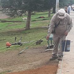 Servicios públicos resiembra pasto en el parque San Antonio.