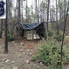 Asegura AEI más de 200 kilos de mariguana en Ocampo.