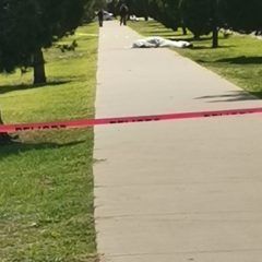 Acribillan a sujeto que caminaba en el Castillo  Cabrera.