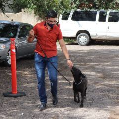 Emplea CMACC programa de adiestramiento a ejemplares caninos en adopción