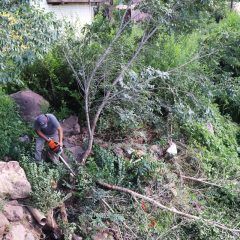 Servicios públicos realiza limpieza de maleza en arroyo San Antonio y lotes baldíos