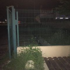 Localizan a persona sin vida.