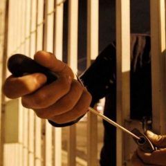 Abren el portón y se roban una pick up, 3 teles y el micro
