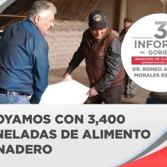 3er. Informe: el gobierno municipal de Cuauhtémoc apoyó al sector pecuario con 3 mil 400 toneladas de alimento ganadero