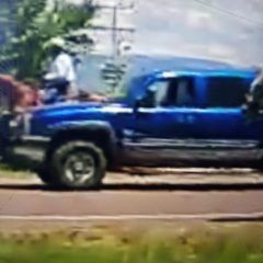 Reporte de robo de vehículo particular.