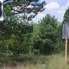 Localiza Fiscalía hombre desmembrado en carretera Bocoyna a Sisoguichi