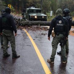Rescatan en operativo conjunto a pareja de adultos y destruyen narco-bloqueos de carretera en Uruachi