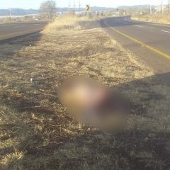 Asesinan a sujeto al estilo del crímen organizado en Pedernales