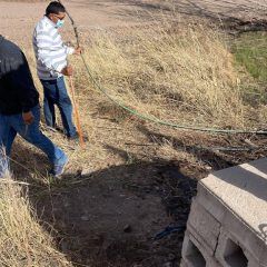 Clausuran 8 tomas clandestinas de agua, regaban huertas nogaleras