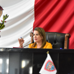 Autorizan al Estado enajenar a título oneroso terreno a favor de LEAR Mexican Trim Operations