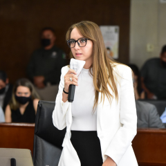 Autorizan enajenación de predio a título oneroso a favor de Perfiles del Real