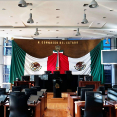 Buscarán diputados la transición de los centros antirrábicos a centros de control animal.