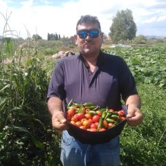 Promueve Estado la instalación de huertos familiares a través del programa “Cultiva la Vida”