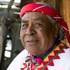 Convoca Cultura a hablantes de idiomas originarios a participar en la convocatoria Erasmo Palma 2024