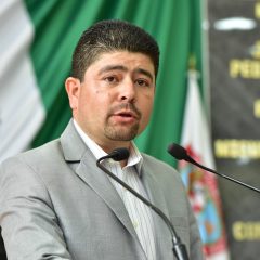 Por cortes de energía, CFE debe responder ante pérdidas millonarias en el sector agrícola: Congreso