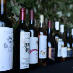 Es Chihuahua referente nacional en producción de vino