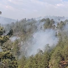 Emite Protección Civil Estatal recomendaciones para prevenir incendios forestales