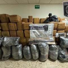 En cateo, aseguran más de una tonelada de droga en la colonia Minerales