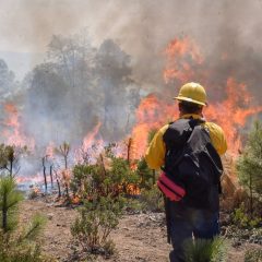 Suman más de 100 incendios forestales en la entidad en lo que va del año