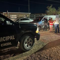 Atropella a dos perros y lo obligan a pagar el funeral