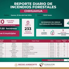 Atienden brigadistas incendio forestal en Temósachic