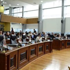 Pide Congreso campañas de esterilización o castración quirúrgica de perros y gatos en las zonas rurales del Estado