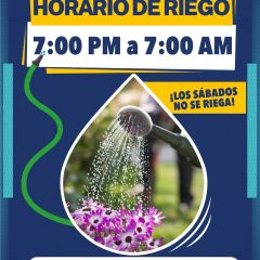 Invita JMAS Chihuahua a evitar desperdicio de agua con los horarios de riego establecidos