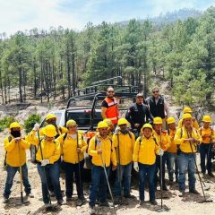 Impartirán curso para prevenir, detectar y combatir incendios en la Sierra Tarahumara