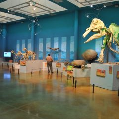 Invitan a actividades por el Día Internacional de los Museos en el MUDECh