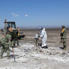 Agradecen a las personas que participaron en limpieza de la Laguna de Bustillos