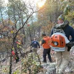 Implementa Protección Civil acciones preventivas en comunidades de Bocoyna ante presencia de incendios forestales