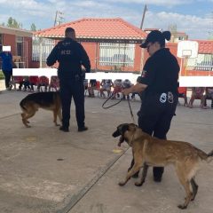 DSPM realizó exhibición canina de K9 en el Jardín de Niños Chihuahua
