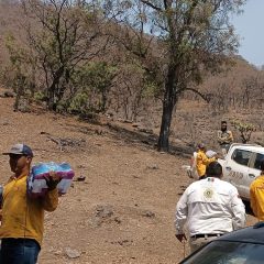 Evalúa Protección Civil daños tras incendios en comunidades de la Sierra Tarahumara –