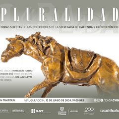 Llega la exposición “Pluralidad” a Casa Chihuahua