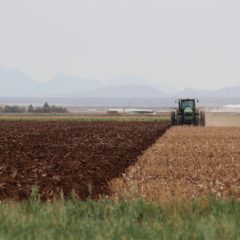Adquiere Desarrollo Rural seguro contra la sequía para más de 43 mil hectáreas de maíz, frijol y avena