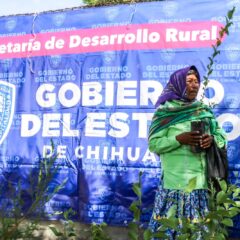 Entrega Secretaría de Desarrollo Rural árboles y semillas de hortaliza en Bocoyna.
